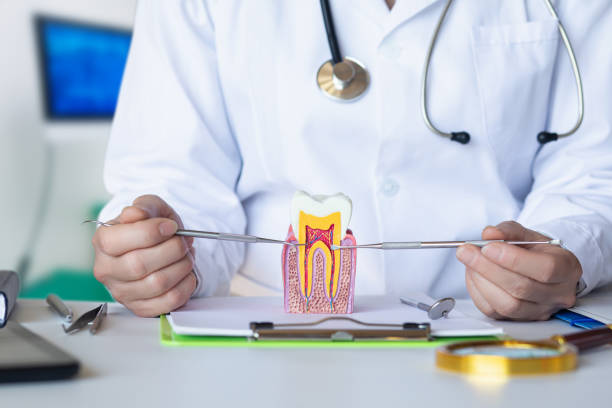 Best Emergency Treatment for Dental Infections or Abscesses in Moreland, ID